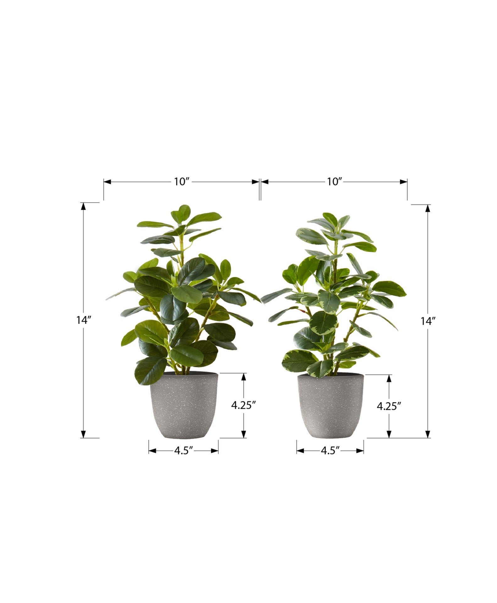 Artificial Plant, 14" Tall, Ficus, Indoor, Faux, Fake, Table, Greenery, Potted, Set Of 2, Decorative, Green Leaves, Grey Pots