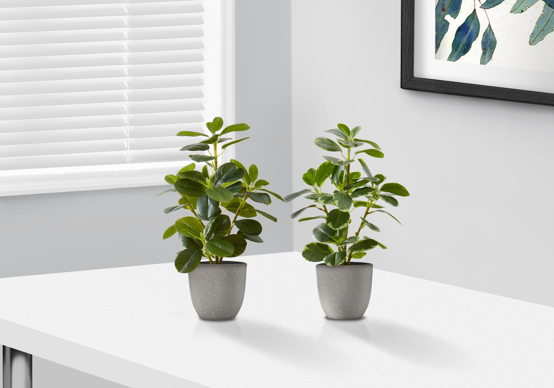 Artificial Plant, 14" Tall, Ficus, Indoor, Faux, Fake, Table, Greenery, Potted, Set Of 2, Decorative, Green Leaves, Grey Pots