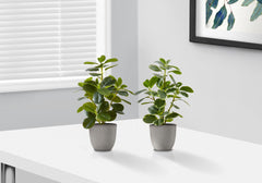 Artificial Plant, 14" Tall, Ficus, Indoor, Faux, Fake, Table, Greenery, Potted, Set Of 2, Decorative, Green Leaves, Grey Pots