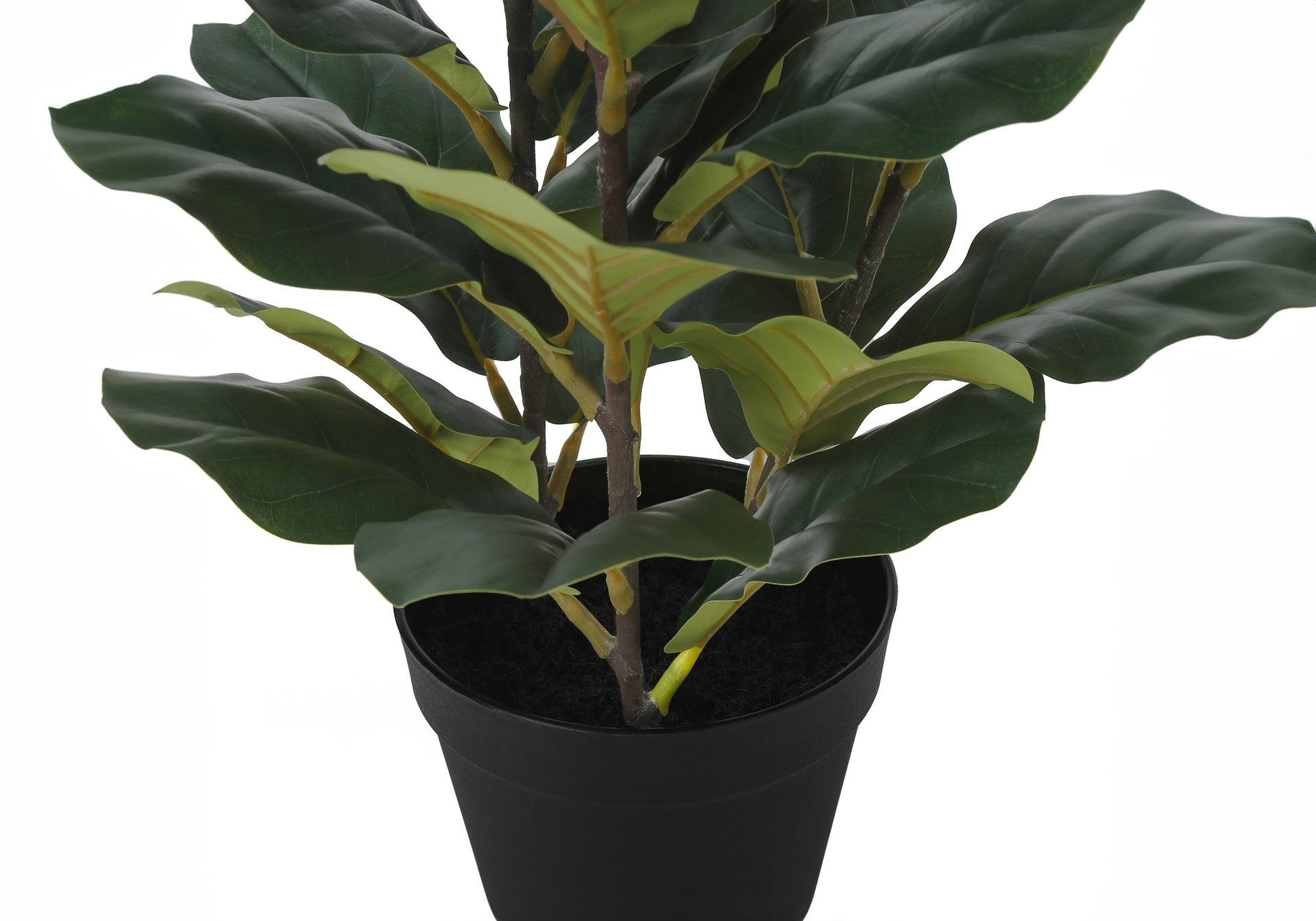 Artificial Plant, 32" Tall, Fiddle Tree, Indoor, Faux, Fake, Floor, Greenery, Potted, Real Touch, Decorative, Green Leaves, Black Pot