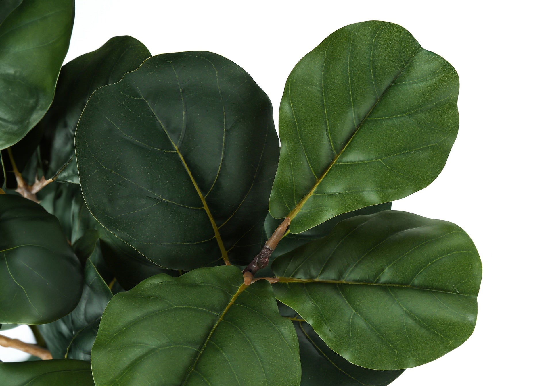 Artificial Plant, 32" Tall, Fiddle Tree, Indoor, Faux, Fake, Floor, Greenery, Potted, Real Touch, Decorative, Green Leaves, Black Pot