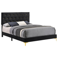 James Black Upholstered Queen Panel Bed