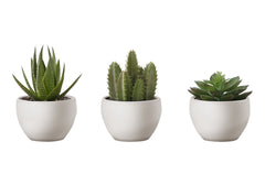 Artificial Plant, 6" Tall, Succulent, Indoor, Faux, Fake, Table, Greenery, Potted, Set Of 3, Decorative, Green Plants, White Pots