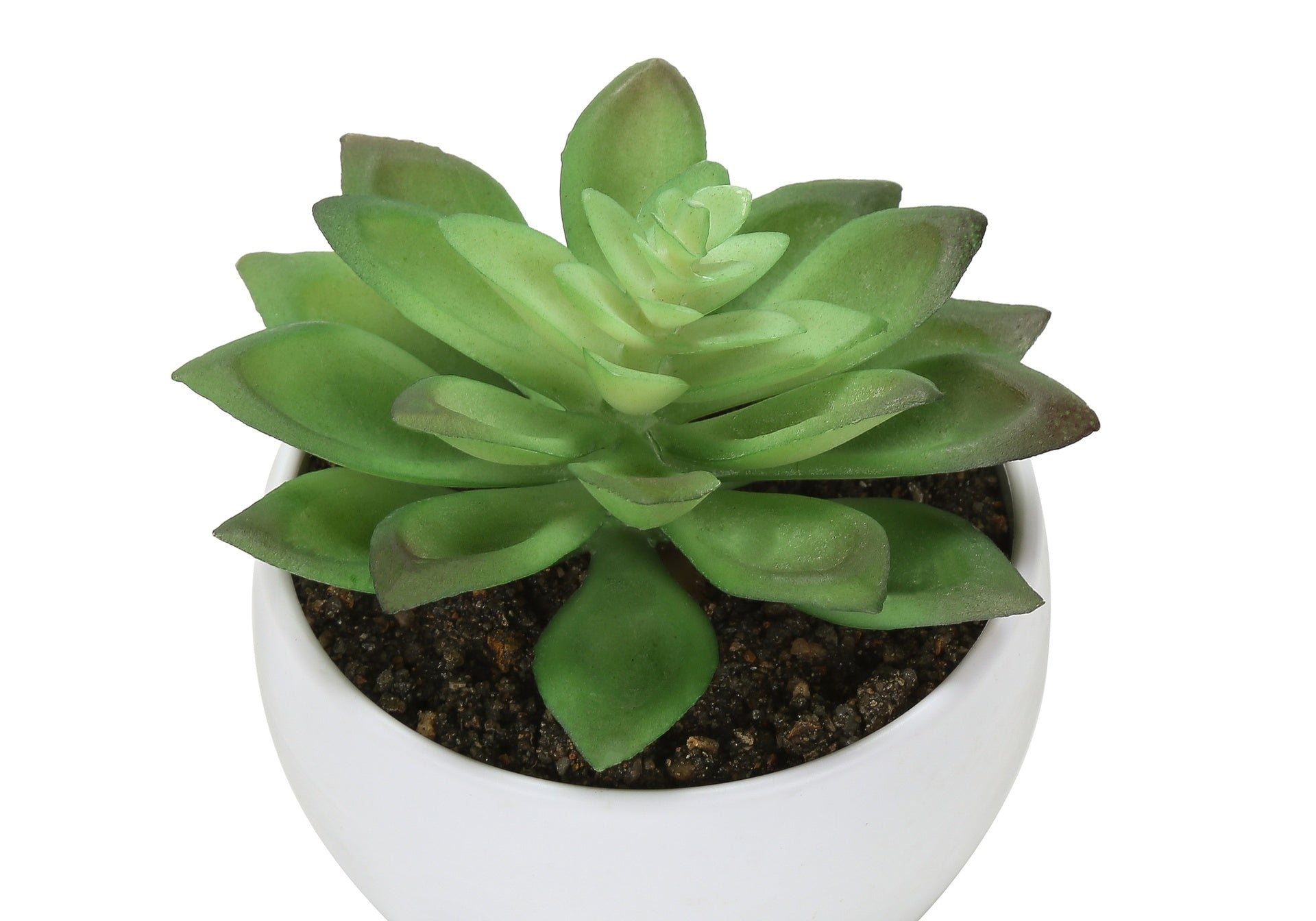 Artificial Plant, 6" Tall, Succulent, Indoor, Faux, Fake, Table, Greenery, Potted, Set Of 3, Decorative, Green Plants, White Pots