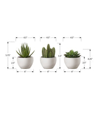 Artificial Plant, 6" Tall, Succulent, Indoor, Faux, Fake, Table, Greenery, Potted, Set Of 3, Decorative, Green Plants, White Pots
