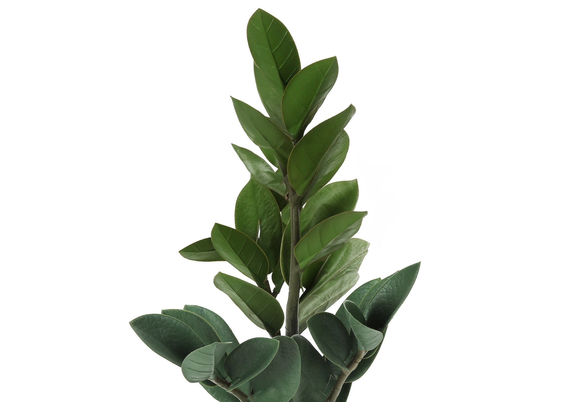 Artificial Plant, 20" Tall, Zz, Indoor, Faux, Fake, Table, Greenery, Potted, Real Touch, Decorative, Green Leaves, Grey Cement Pot