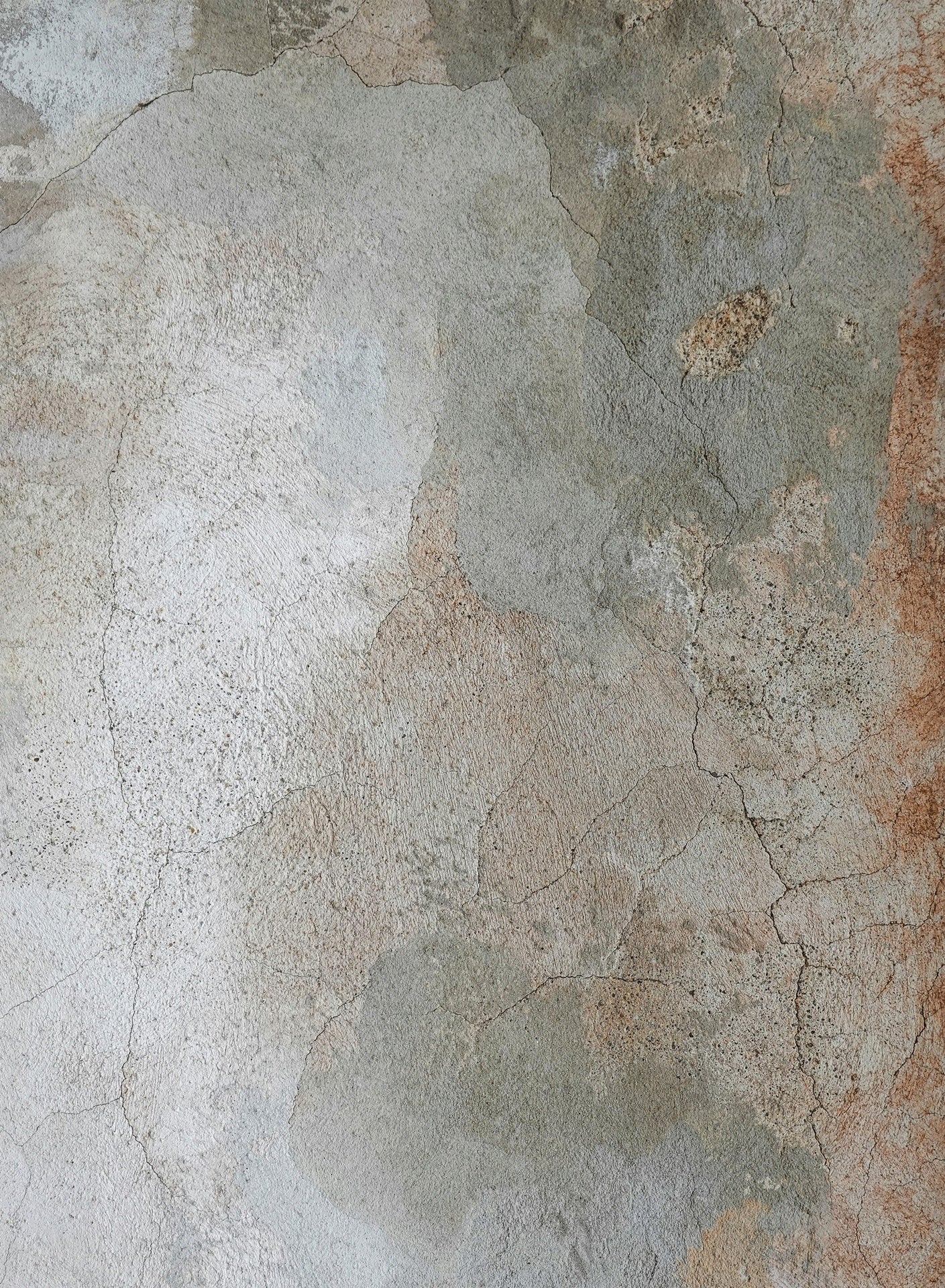 Artistic GC_TRE8018 Multi 5 ft. 3 in. x 7 ft. 3 in. Area Rug