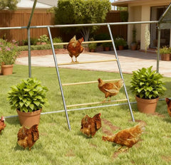 Chicken Roost for Coop, Jungle Gym Roosting Bar, 55" x 33.75"