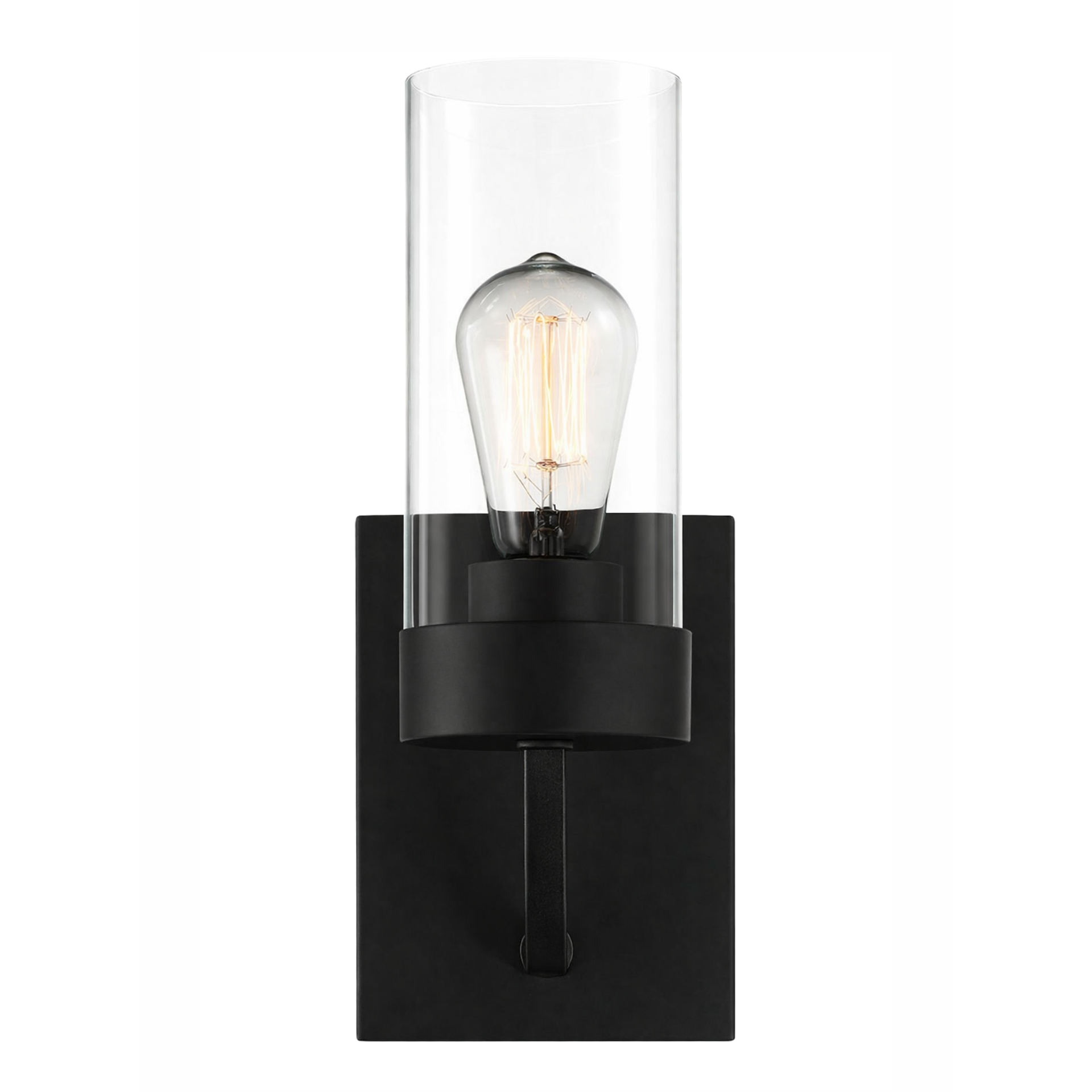 Zephyr Single Light Sconce With Clear Glass Metal Black Finish