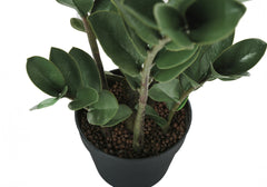 Artificial Plant, 29" Tall, Zz Tree, Indoor, Faux, Fake, Floor, Greenery, Potted, Real Touch, Decorative, Green Leaves, Black Pot