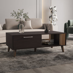 Coffee Table, 1 Door, 1 Shelf, Black / Natural Oak