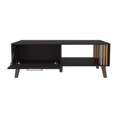 Coffee Table, 1 Door, 1 Shelf, Black / Natural Oak