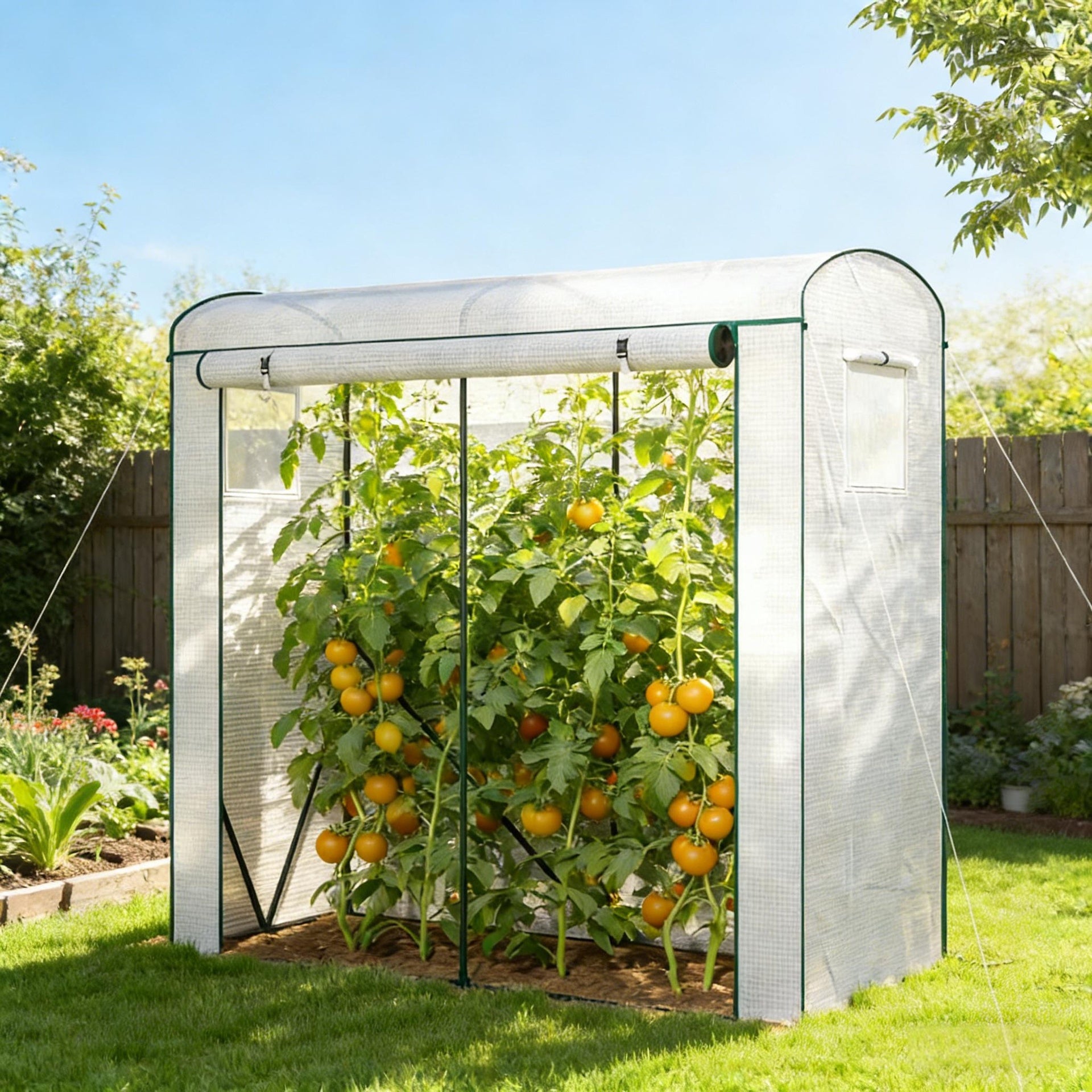 Outdoor Mini Greenhouse,Modern Greenhouse