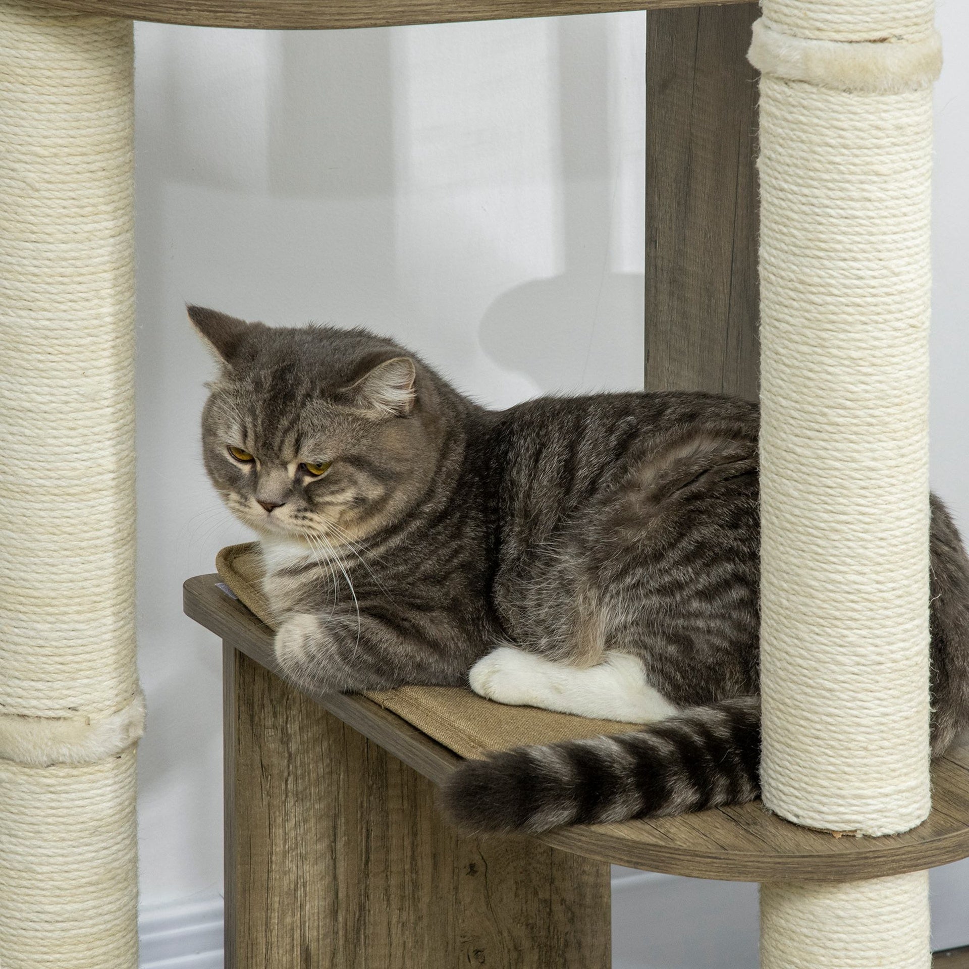 PawHut 65" Corner Modern Cat Tree Tall for Climbing, Large Multilevel Cat Tower with Scratching Posts, Small-Fit Kitten Tower with Sisal, Cream White