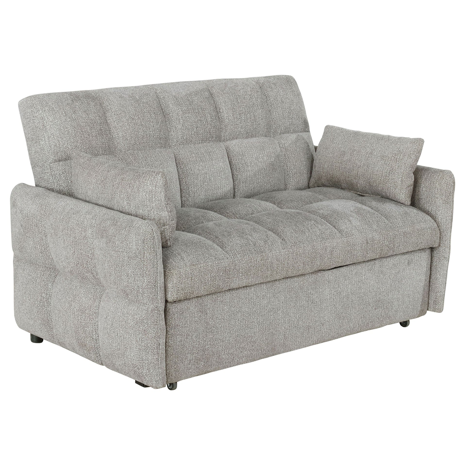 Alvara Light Grey Tufted Cushion Pull-out Sleeper Sofa Bed