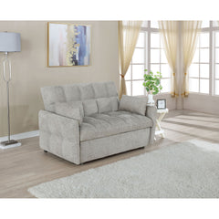 Alvara Light Grey Tufted Cushion Pull-out Sleeper Sofa Bed