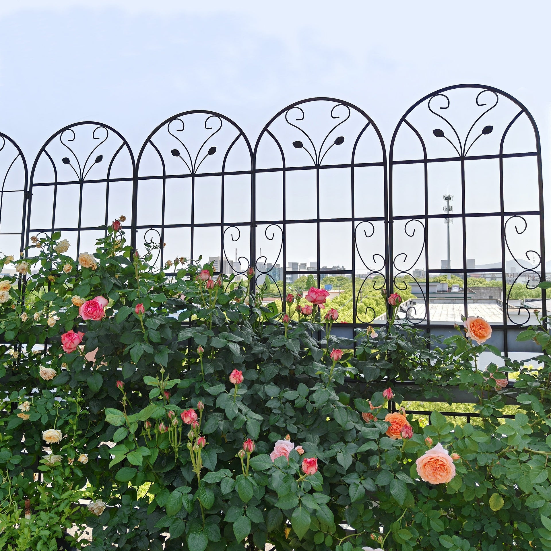 2 Pack Metal Garden Trellis 86.7" x 19.7" Rustproof Trellis for Climbing Plants Outdoor Flower Support Black