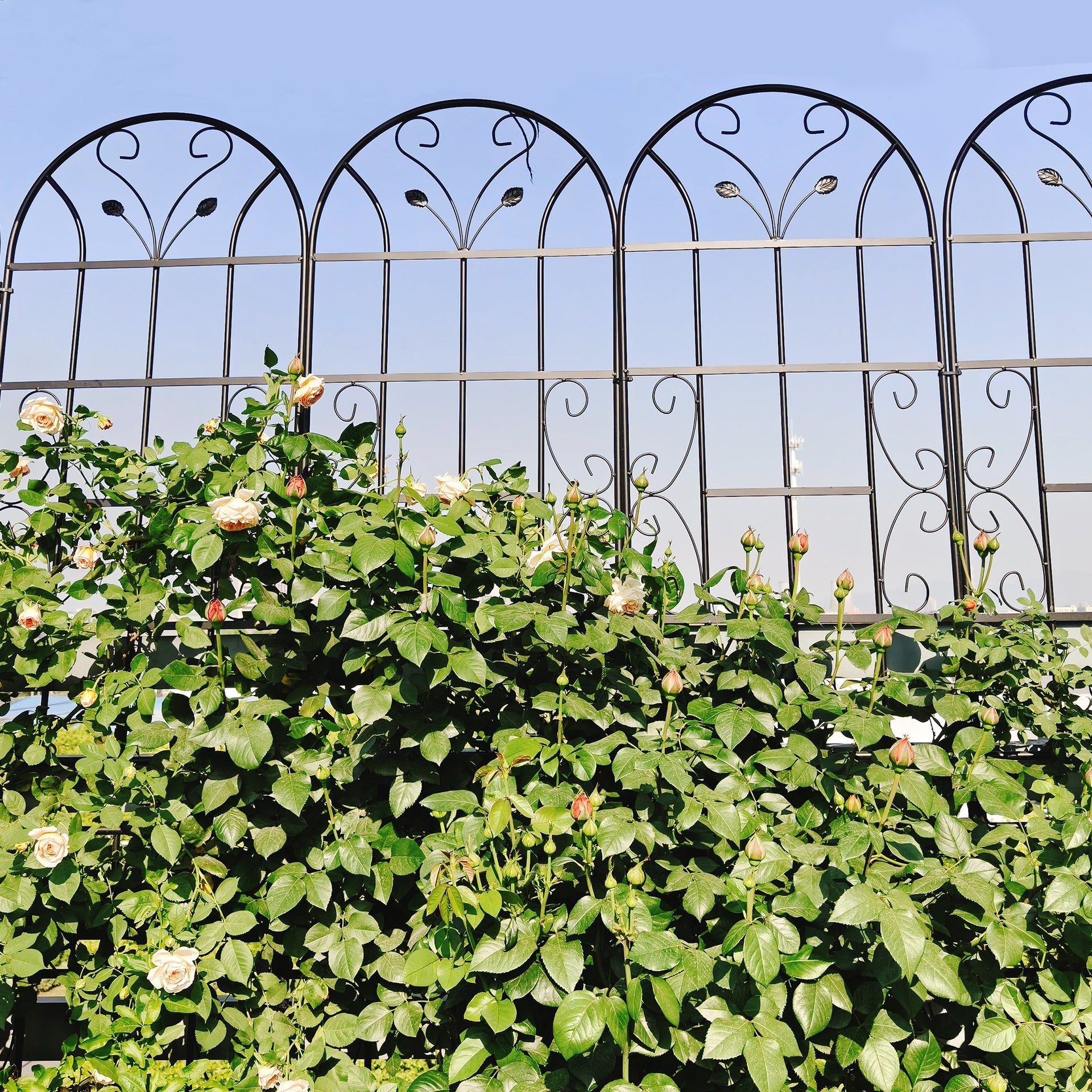 2 Pack Metal Garden Trellis 86.7" x 19.7" Rustproof Trellis for Climbing Plants Outdoor Flower Support Black