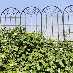 2 Pack Metal Garden Trellis 86.7" x 19.7" Rustproof Trellis for Climbing Plants Outdoor Flower Support Black