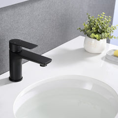 Single Handle Lavatory Basin Sink Faucet