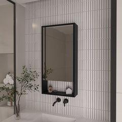 Rectangle Medicine Cabinet with Mirror Wenge