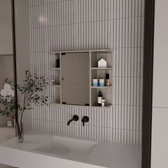 Roseburg 6-Shelf Medicine Cabinet with Mirorr Light Grey