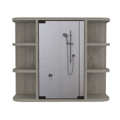 Roseburg 6-Shelf Medicine Cabinet with Mirorr Light Grey