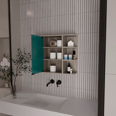 Roseburg 6-Shelf Medicine Cabinet with Mirorr Light Grey