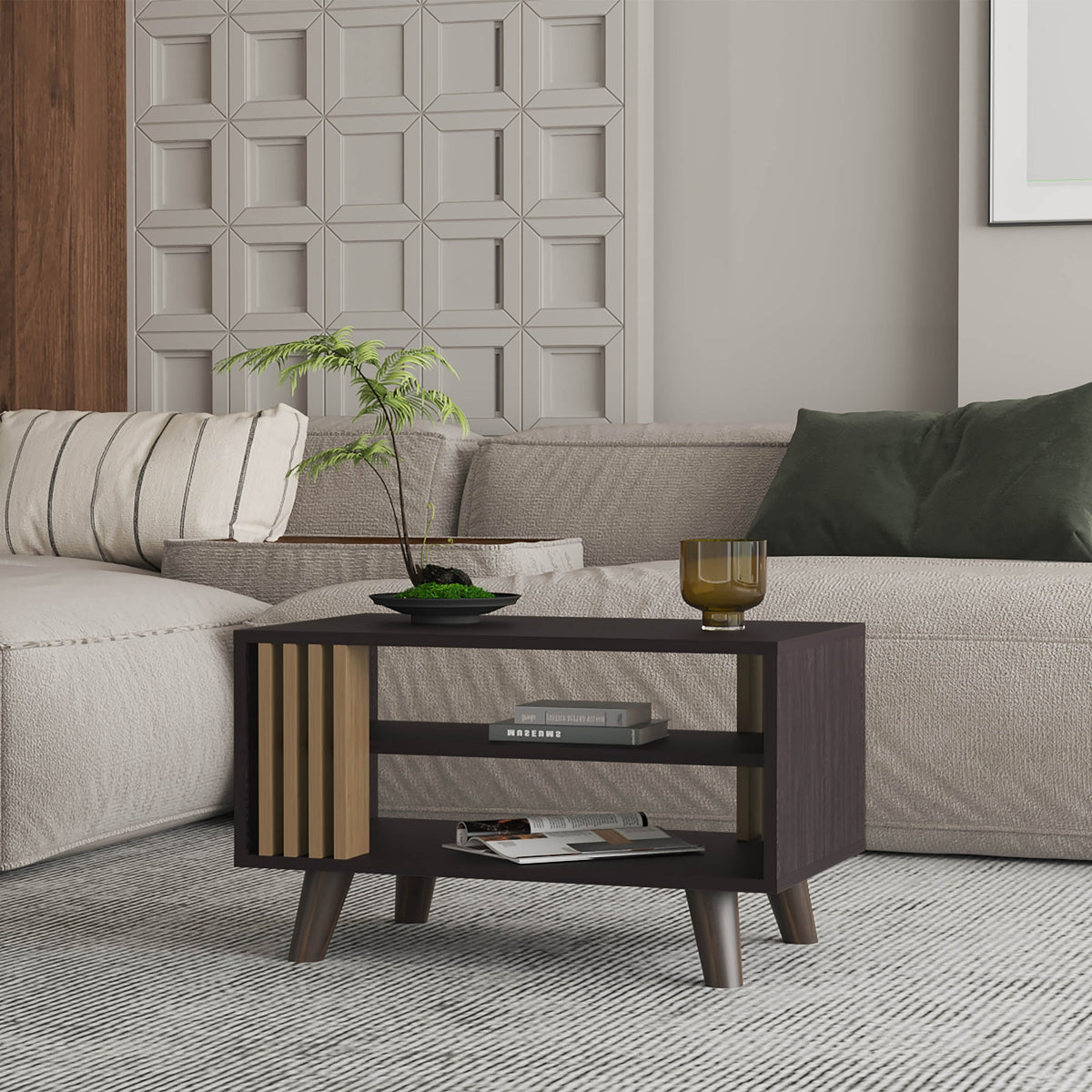 Wenge and Natural Oak Coffee Table with Open Storage