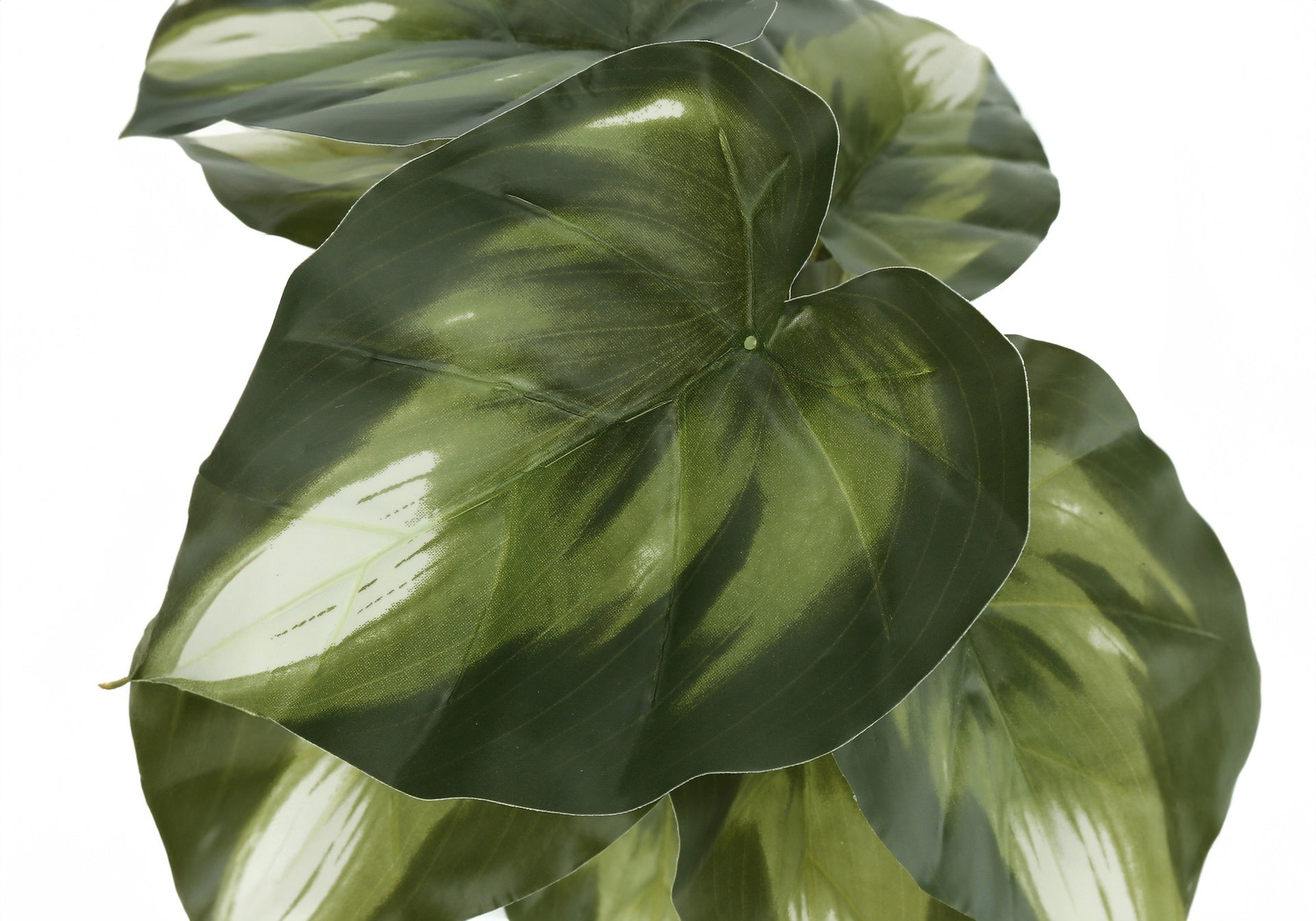 Artificial Plant, 13" Tall, Monstera Calthea, Indoor, Faux, Fake, Table, Greenery, Potted, Set Of 2, Decorative, Green Leaves, Black Pots