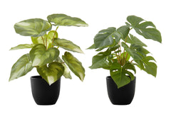 Artificial Plant, 13" Tall, Monstera Calthea, Indoor, Faux, Fake, Table, Greenery, Potted, Set Of 2, Decorative, Green Leaves, Black Pots