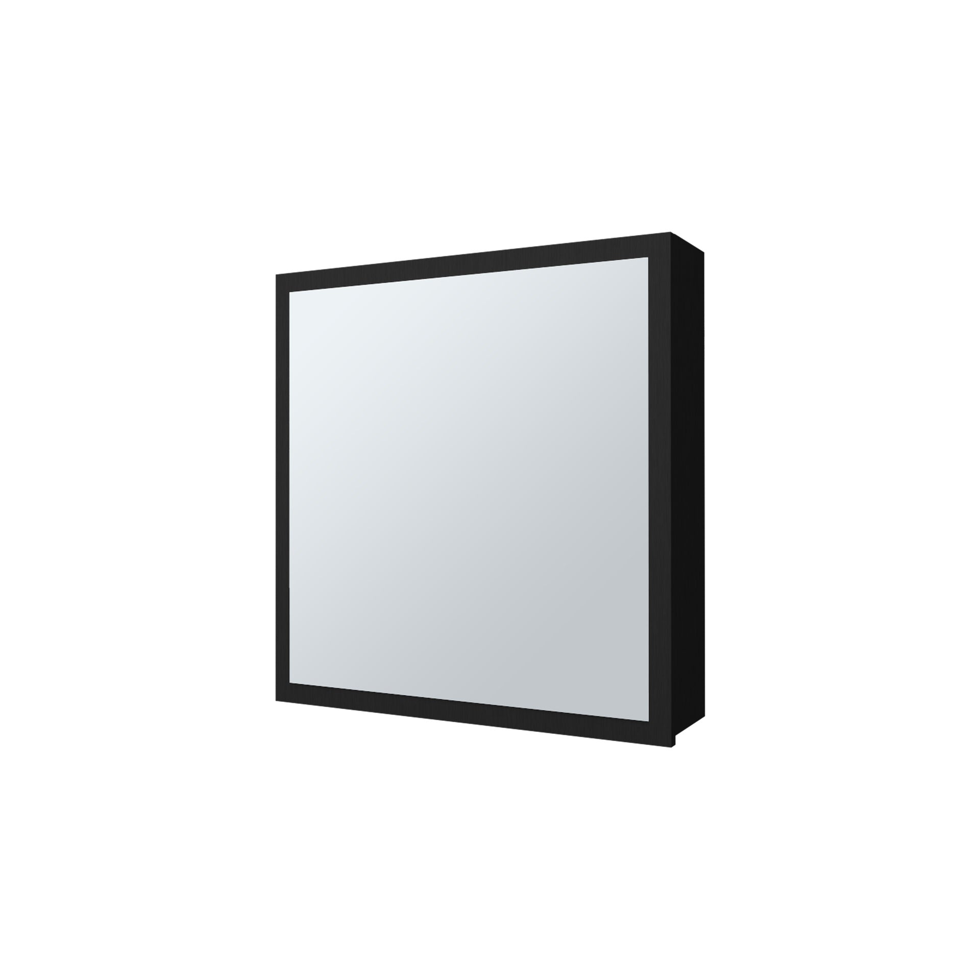 Morenci Medicine Cabinet With Included Mirror And 1 Door, Black