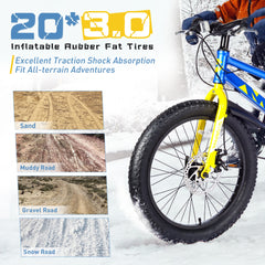 20 Inch Kids Bicycles , Fat Tire Mountain Bike for Boys and Girls Age 5 + Years ,7-Speed Dual-Disc Brake ,Kids Beach and Snow Bicycle