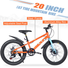 20 Inch Kids Bicycles , Fat Tire Mountain Bike for Boys and Girls Age 5 + Years ,7-Speed Dual-Disc Brake ,Kids Beach and Snow Bicycle