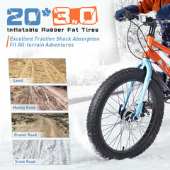 20 Inch Kids Bicycles , Fat Tire Mountain Bike for Boys and Girls Age 5 + Years ,7-Speed Dual-Disc Brake ,Kids Beach and Snow Bicycle