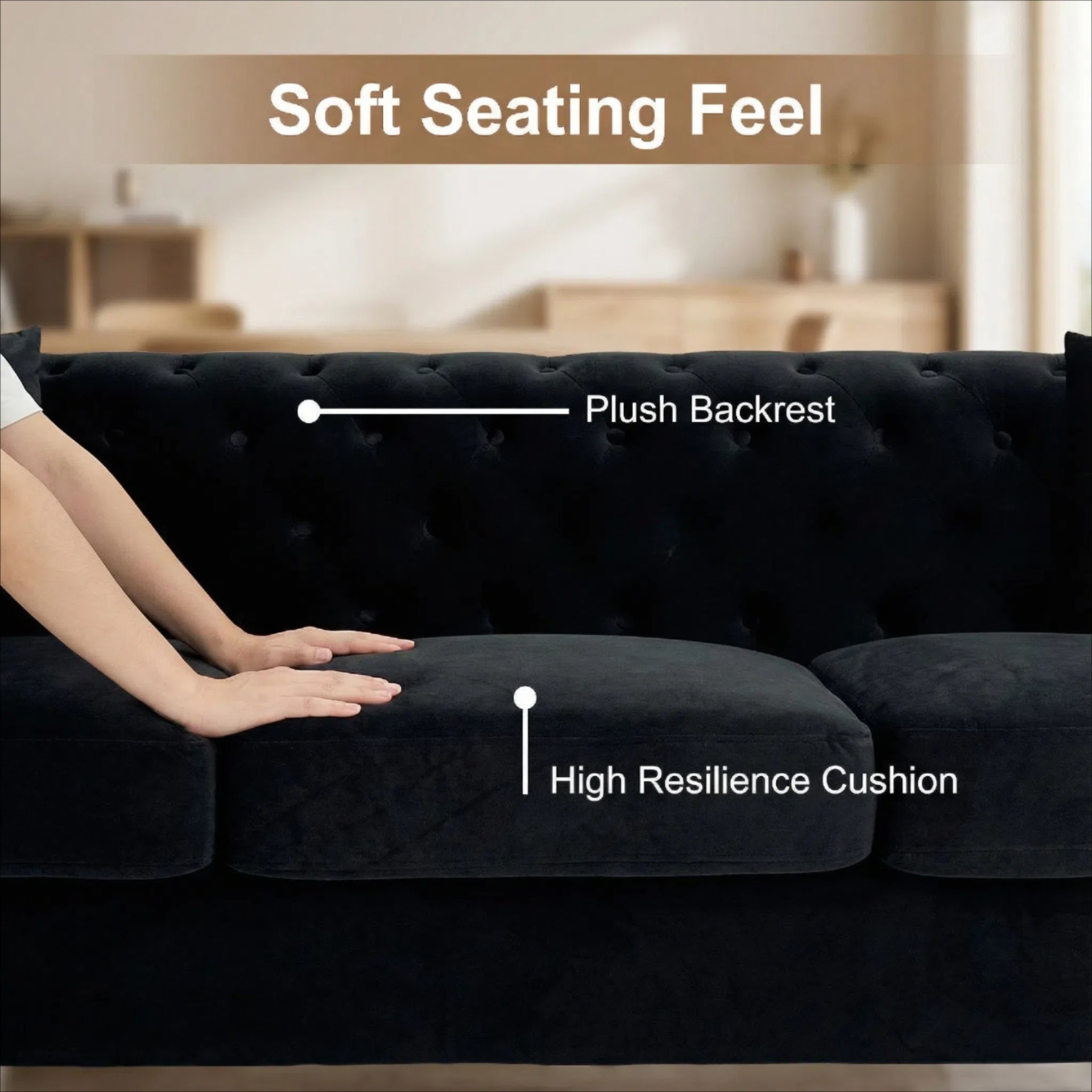 FX-P83-BK4 (SOFA WITH 2 PILLOWS) same as W576S00217/FX-P83-BK3