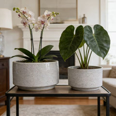Handmade Ceramic Planter Set of 2, 11" & 8" Diameter, White with Vertical Ridges, for Aquatic Plants Indoor/Outdoor Shelf & Table Use, Breathable Non-Porous Clay