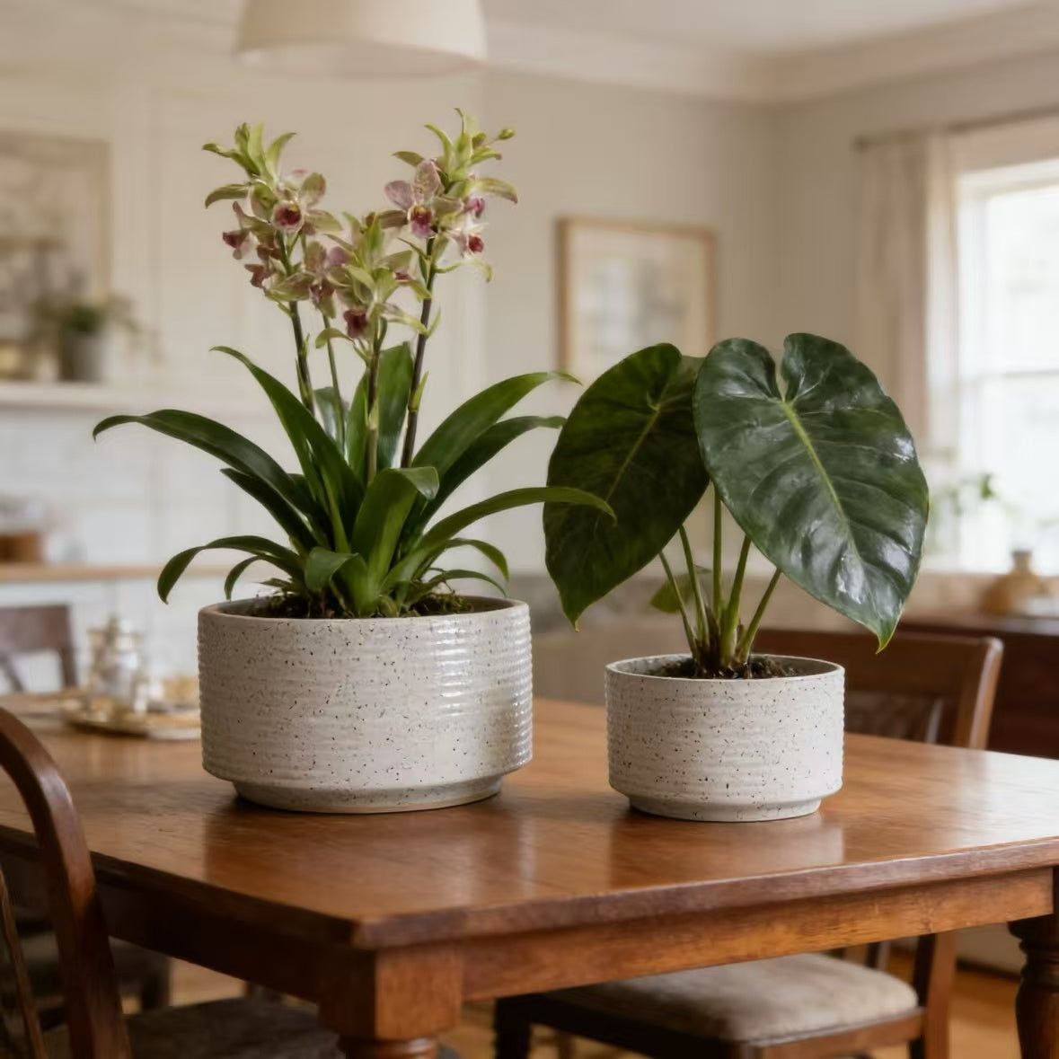 Handmade Ceramic Planter Set of 2, 11" & 8" Diameter, White with Vertical Ridges, for Aquatic Plants Indoor/Outdoor Shelf & Table Use, Breathable Non-Porous Clay