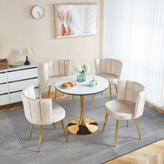 Modern OFF WHITE dining chair(set of 2 ) with iron tube golden color legs, velvet and comfortable backrest, suitable for dining room, living room, cafe, simple structure.