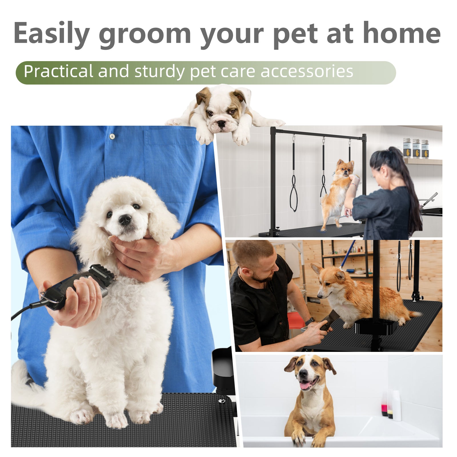 47'' Black Large Dog Grooming Table X-Lift Foldable Grooming Table for Dogs at Home Adjustable Height Arms Pet Station with Nooses, Tool Organizer