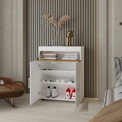 Pneumatic Lift-Up Compartment Shoe Rack