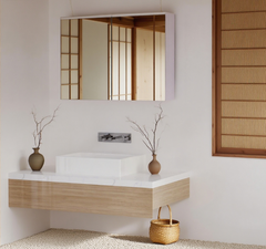 Double Door Wall Mounted Bathroom Mirror