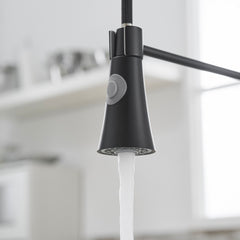 Commercial Black Kitchen Faucet with Pull out Sprayer, Single Handle Single Lever Kitchen Sink Faucet