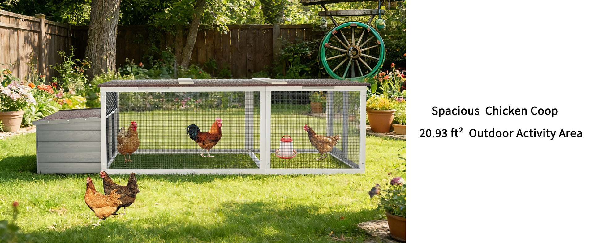 Large Chicken Coop with Run, 20.93 Sq Ft Outdoor Poultry Cage, Weatherproof Asphalt Roof, Wooden Hen House with Nesting Box & Secure Lock for Backyard Use