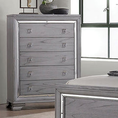 Contemporary Style 1pc Chest Five English Dovetail Drawers Ball Bearing Glides Mirror Trim Light Gray Finish