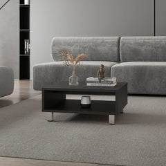 Wenge Coffee Table with Open Storage