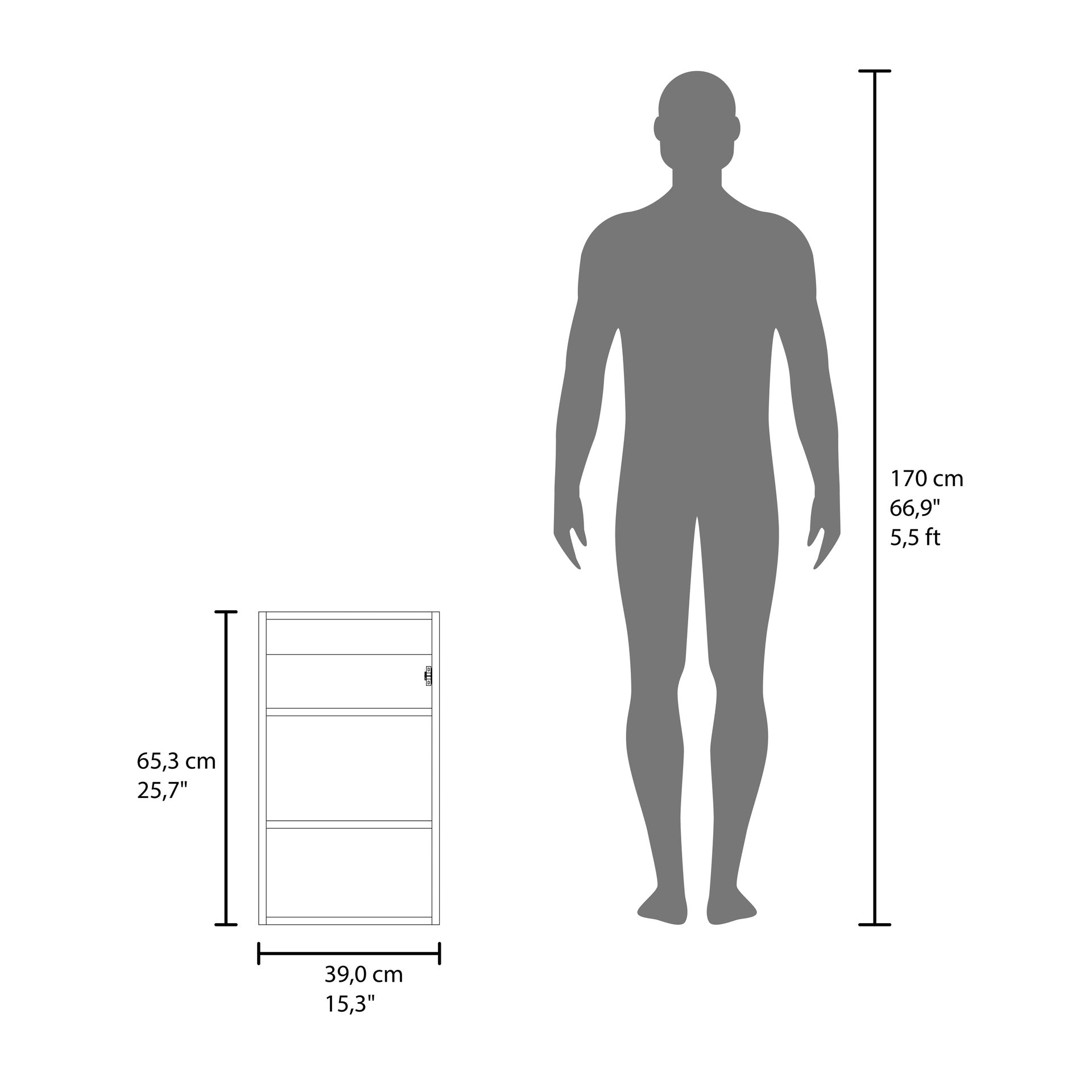Medicine Cabinet 25.7" H, 1 Door, 3 Shelves, 1 Mirror, Black