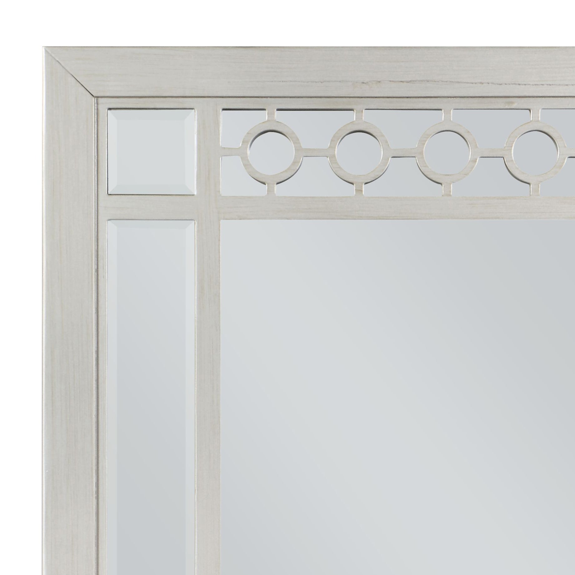 Varian Silver & Mirrored Finish Mirror