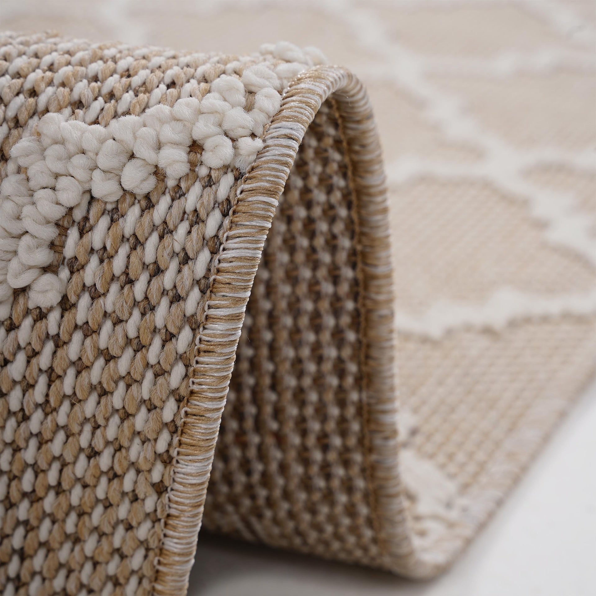 Guros Collection 5X7 Ivory / Trellis Indoor / Outdoor Area Rug