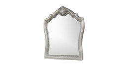 Destiny Traditional Style Mirror Made with Wood frame in Silver